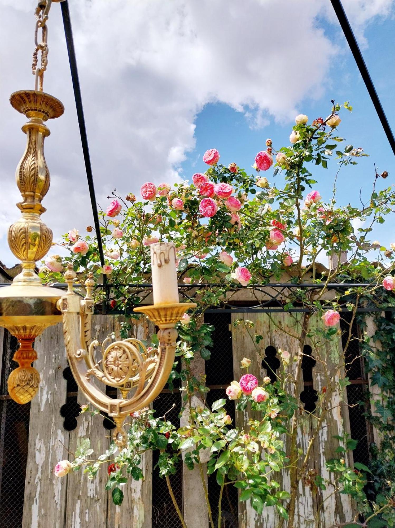 Hotel Le Griffon 1855 Saint-Laurent-Des-Autels Zewnętrze zdjęcie